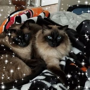 Meet your Posher, Mary-lou